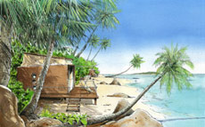 Illustration d'une maison écologique portable Ecop Habitat